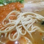 博多豚骨黒豚ブラザーズ - 麺の感じ