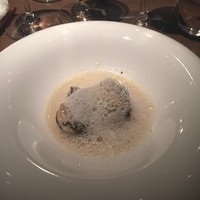 ecco - 