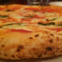 PAPPARE NAPOLI - 柔らかくしっとり感が強い生地