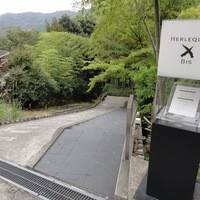 エルルカン・ビス - 