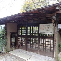 エルルカン・ビス - 