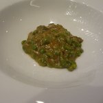 SALONE 2007 - スパッツェレ グリーンピース（2015.12）