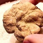 秋田牛鉄板焼 銀座五明 - 