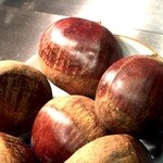 秋田牛鉄板焼 銀座五明 - 