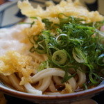 Marugame Seimen - 