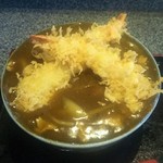 盧山 - カレーそば（なおりんスペシャル）　2015/12/24ver