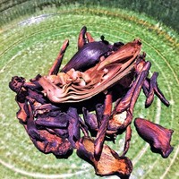 IL TEATRINO DA SALONE - カルチョーフィ アッラ ブラーチェ