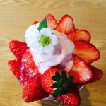 ウッドベリーズ - 