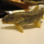 旬彩天 つちや - 