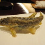 旬彩天 つちや - 