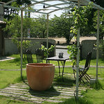 CHERIR SUZUKA - お庭