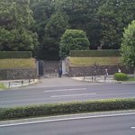 レストラン薔薇 - 窓からは赤坂の皇室警護が・