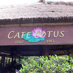 Cafe Lotus - 