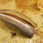 すし家 一柳 - こはだ