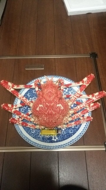 希少種のタカアシガニとアカザ海老を食べてみました By A 2野郎 蒲郡海鮮市場 三河鹿島 その他 食べログ 希少種のタカアシガニとアカザ海老を食べてみました By A 2野郎 蒲郡海鮮市場 三河鹿島 その他 食べログ