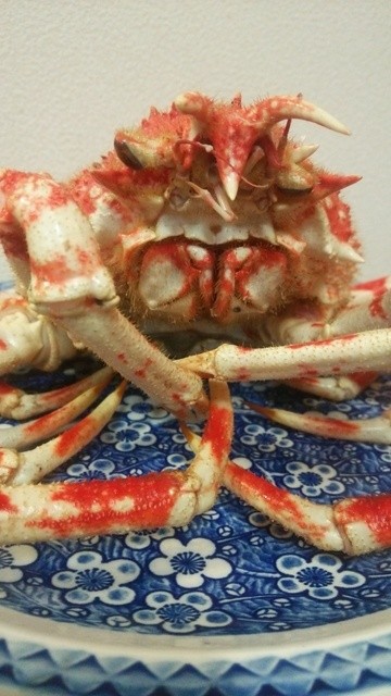 希少種のタカアシガニとアカザ海老を食べてみました By A 2野郎 蒲郡海鮮市場 三河鹿島 その他 食べログ