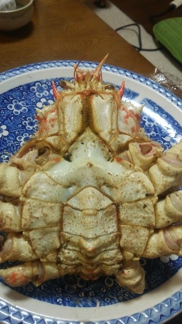 希少種のタカアシガニとアカザ海老を食べてみました By A 2野郎 蒲郡海鮮市場 三河鹿島 その他 食べログ 希少種のタカアシガニとアカザ海老を食べてみました By A 2野郎 蒲郡海鮮市場 三河鹿島 その他 食べログ