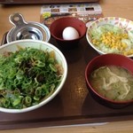 すき家 - ねぎ玉牛丼（中盛）とサラダセット。　佐賀県唐津市郊外名称鏡山の登り口に位置します。　ドライブスルーあり。　