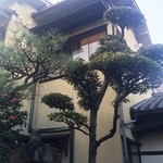 あつた蓬莱軒 - 美しい槇の木