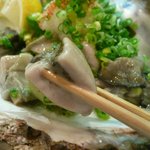 夢風景 - 鳥取産　超特大　岩牡蠣