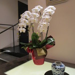 日本料理 晴山 - 