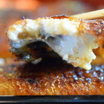 満る岡  - 鰻のどアップ!!