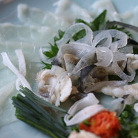 山田屋 - 河豚刺し、皮を拡大