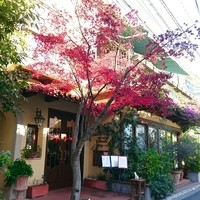 エトゥルスキ - 色彩豊かな外観