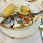 Bouillon CHARTIER - ヘダイ