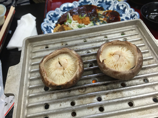 料理旅館 松本屋 谷汲口 旅館 食べログ