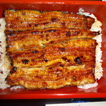 うなぎ 魚政 - うな重(坂東太郎)アップ