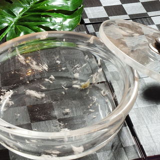 水晶鍋を使用したしゃぶしゃぶコース