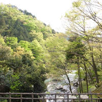 黒茶屋 - 秋川渓谷