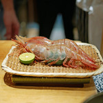 すし匠 齋藤 - ボタンエビ