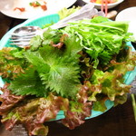 ベトナムちゃん - 