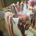 いけ活かに 竹林茶屋 - 