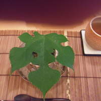 山玄茶 - 梶の葉を乗せた冷製茶碗蒸し