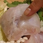 とらふぐ城 - 【H27.12.31】特大てっちり。ピクピク動いています。