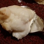 とらふぐ城 - 【H27.12.31】白子。