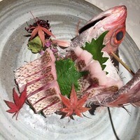 浅草むぎとろ 本店 - 鯛のお造り