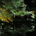 萬治郎 - 未だに日々直感より学習のみッス