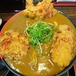 極楽うどん Ah-麺 - 鶏天カレー中盛930円
