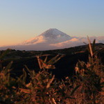 エルルカン・ビス - 