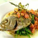 鮮魚の香草焼き　or　アクアパッツァ