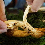 わらび野 - （2014/9）