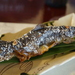 わらび野 - 岩魚の塩焼き（2014/9）