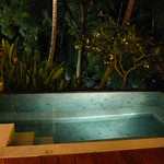 FOUR SEASONS RESORT BALI AT SAYAN - 