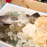 Shinsouen - 中華ではめずらしい、毎日三崎漁港直送鮮魚が召し上がれます。