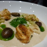 レフェルヴェソンス - 