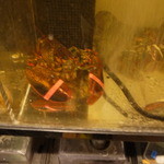 さかなの台所 オリエンタル - 